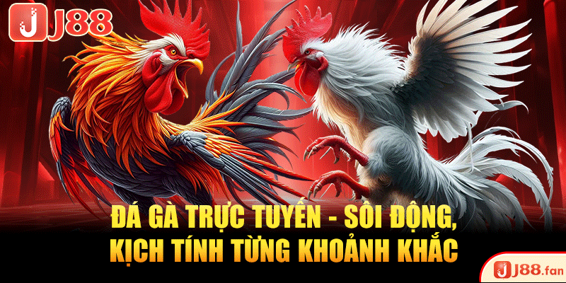 Đá gà trực tuyến